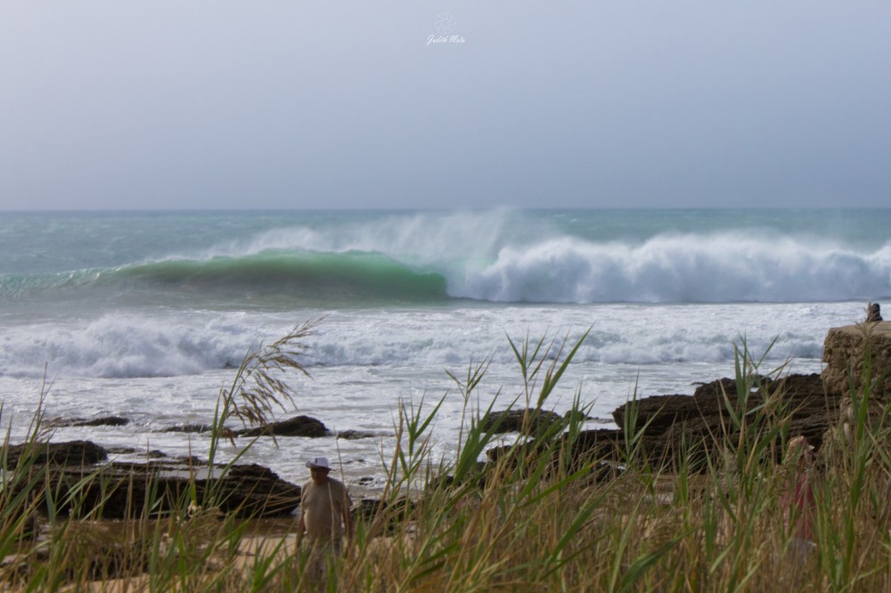 Olas del huracán Ophelia según Judith Mota